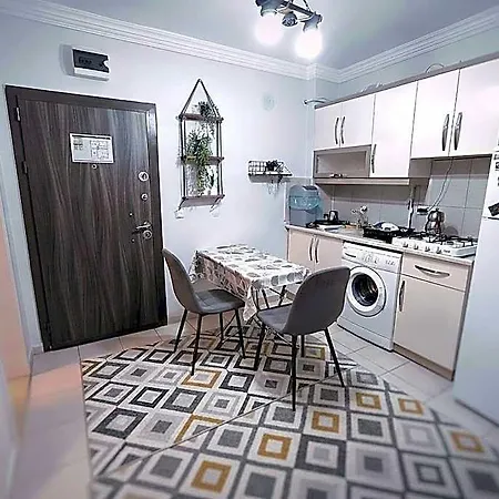Masha & Apartment *